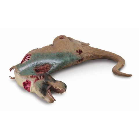 Tyrannosaurus Corpse
