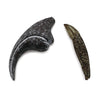 Allosaurus Tooth & Finger Claw fossil replica Allosaurus Tooth & Finger Claw fossil replica