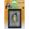 Tyrannosaurus Rex Tooth Tyrannosaurus Rex Tooth