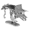 Triceratops Skeleton - 3D Metal Model Kit