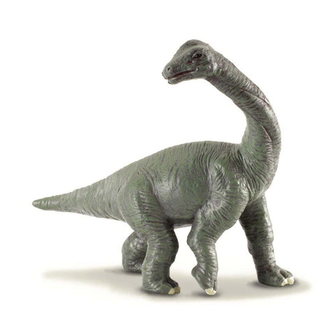 Brachiosaurus Baby