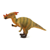 Dracorex