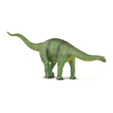 Cetiosaurus