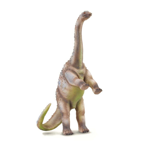 Rhoetosaurus