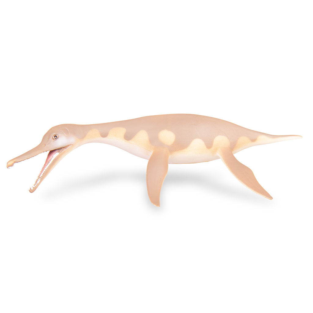 dolichorhynchops-collecta-dinosaurs-galore