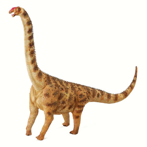 Argentinosaurus XL