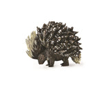 Porcupine Indian CollectA