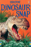 Dinosaur Snap Cards