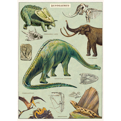 Gift Wrap Dinosaurs