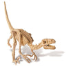 Velociraptor Dig a dinosaur