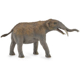 Gomphotherium DLX