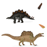 Stegosaurus & Spinosaurus with tooth & tail spike-Box set