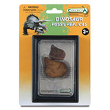 Stegosaurus Dorsal Plate Fossil