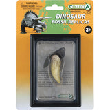 Tyrannosaurus Rex Tooth